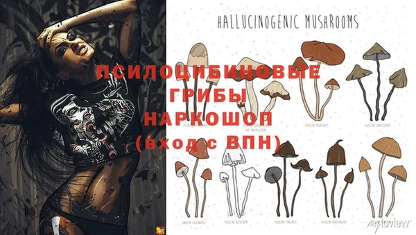 синтетический гашиш Нязепетровск